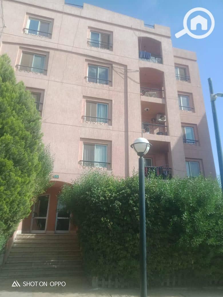 11 e849ee0a-b9e6-46af-994a-52fe6734f557. jpeg