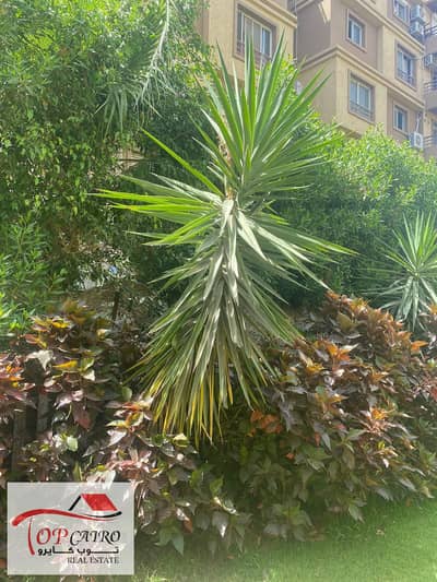 فلیٹ 3 غرف نوم للبيع في مدينتي، القاهرة - WhatsApp Image 2025-12-17 at 1.52. 33 PM (1). jpeg فلیٹ 3 غرف نوم للبيع في مدينتي، القاهرة - WhatsApp Image 2025-12-17 at 1.52. 33 PM (1). jpeg