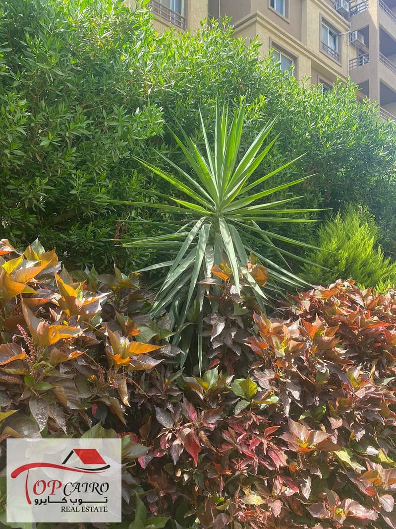 3 WhatsApp Image 2025-12-17 at 1.52. 33 PM. jpeg