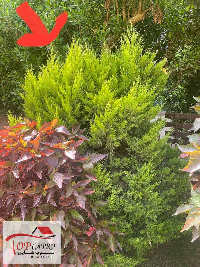 7 WhatsApp Image 2025-12-17 at 1.52. 34 PM. jpeg