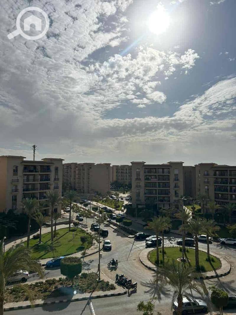 IMG_1553. jpg IMG_1553. jpg