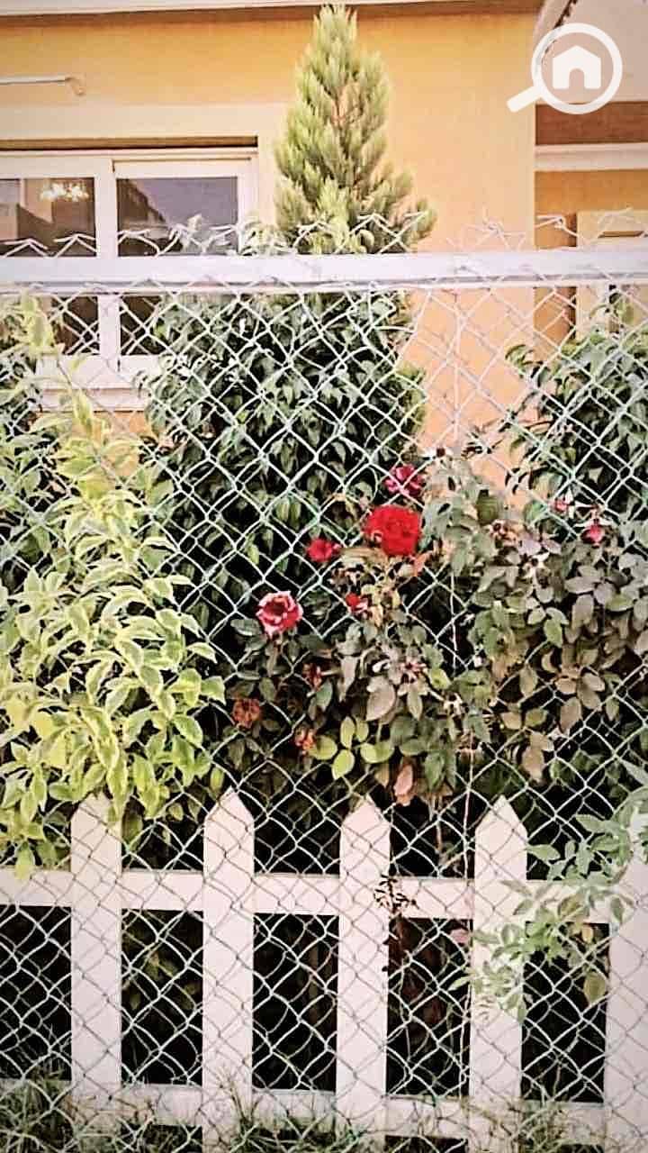 9 c6ea7d3e-7c90-48dc-a3a6-c35a09177d65. jpg