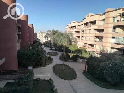 شقة 3 غرف نوم للبيع في القاهرة الجديدة، القاهرة - IMG_1487. jpg شقة 3 غرف نوم للبيع في القاهرة الجديدة، القاهرة - IMG_1487. jpg