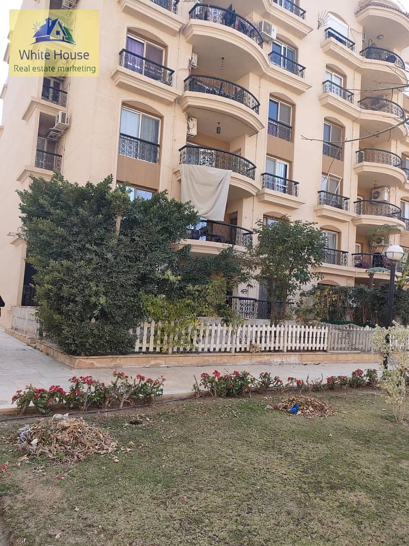 3 293979294167a766c-fb92-4b2b-bb03-c2ff0e0ac584. jpg