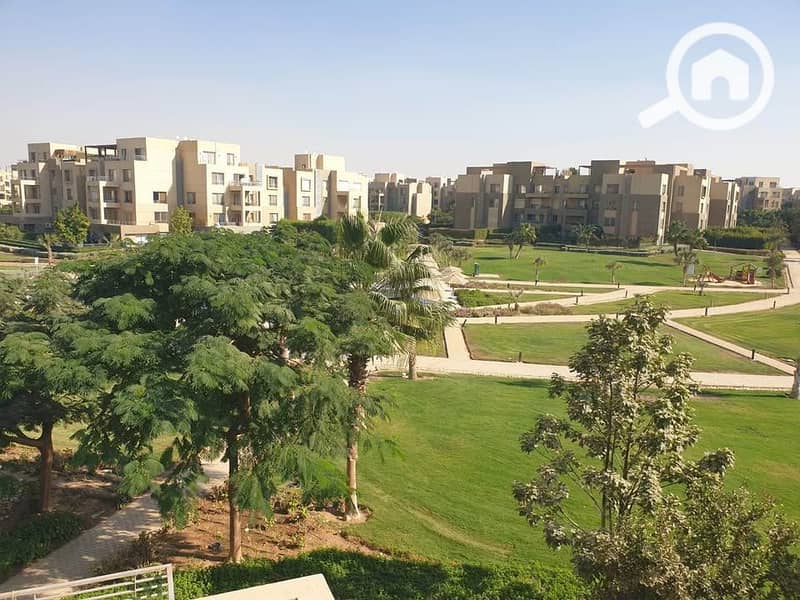 8 589547513_1374518764083706_1887139566257443244_n. jpg