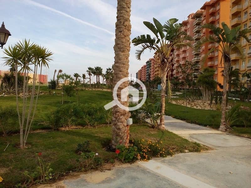 41 IMG_20151114_144838 (Copy). jpg