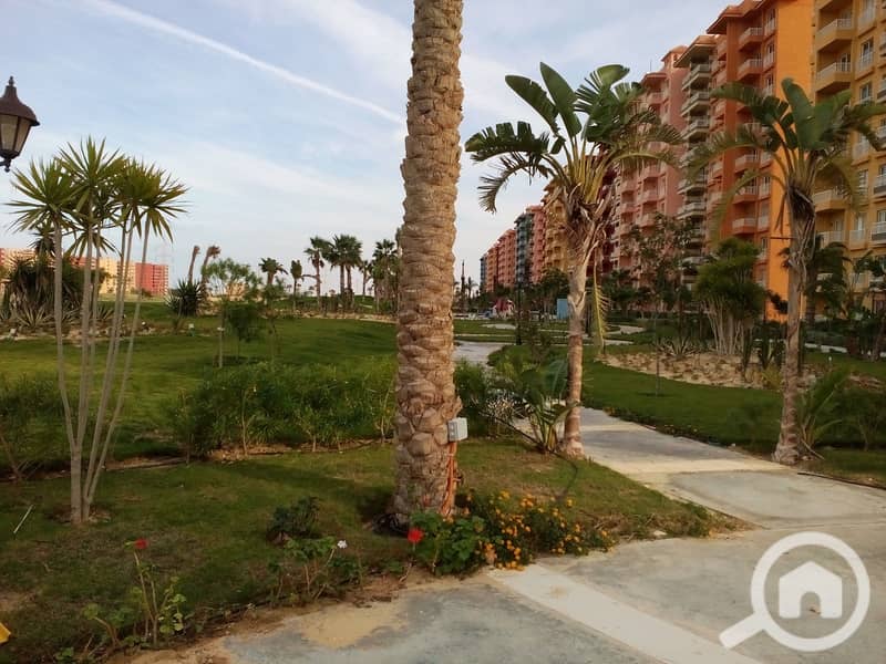 42 IMG_20151114_144838. jpg