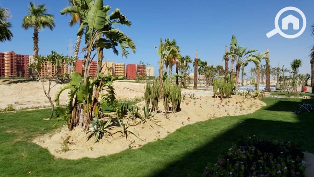 51 IMG-20150707-WA0032 (Copy). jpg