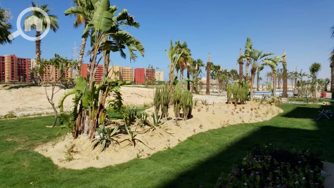 52 IMG-20150707-WA0032. jpg