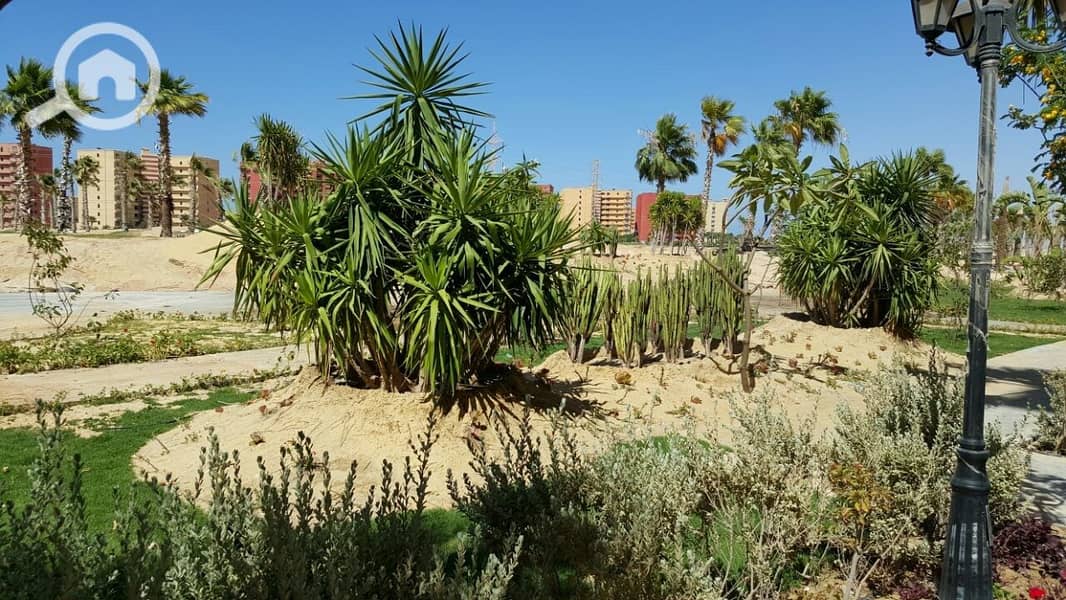 63 IMG-20150707-WA0038 (Copy). jpg