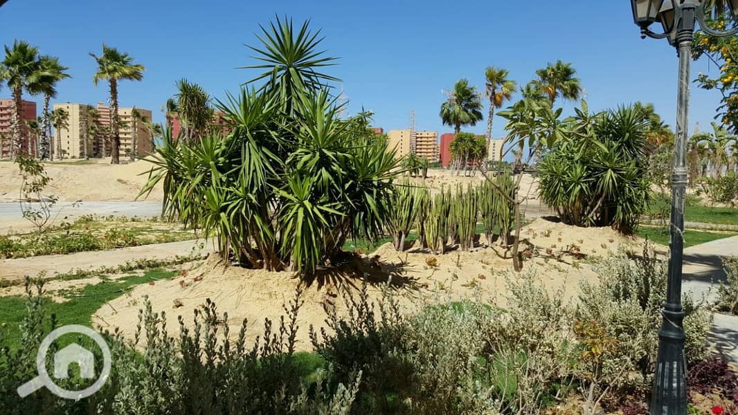 64 IMG-20150707-WA0038. jpg