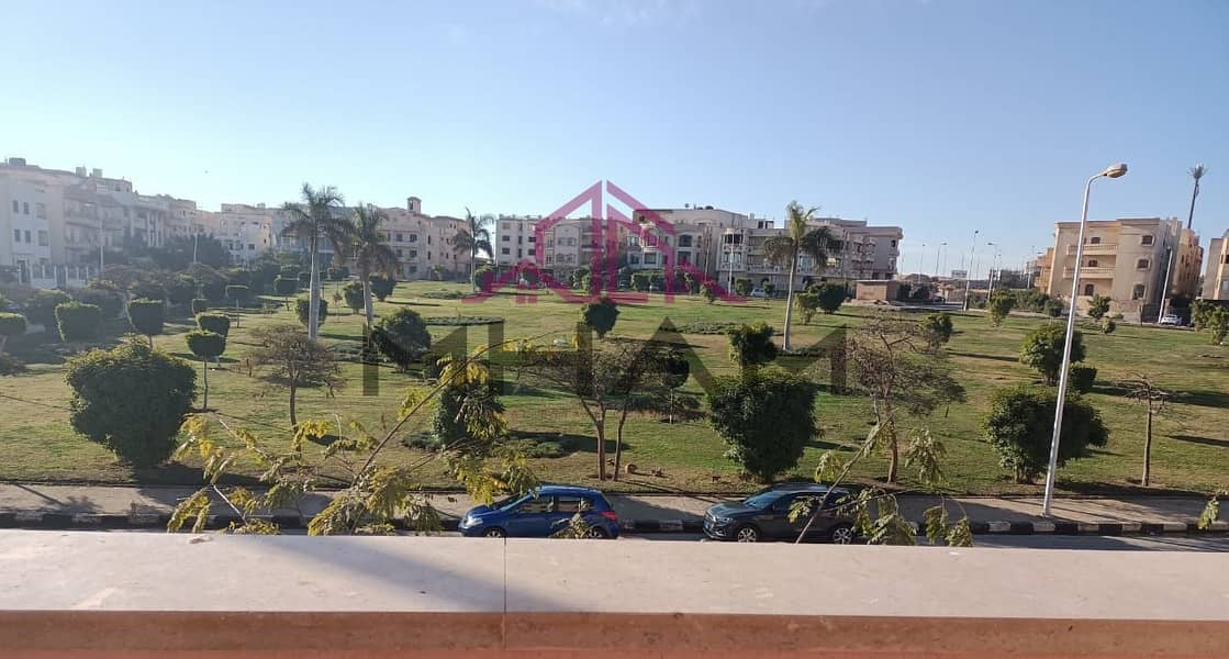 3 photo_5913549863968771538_y. jpg