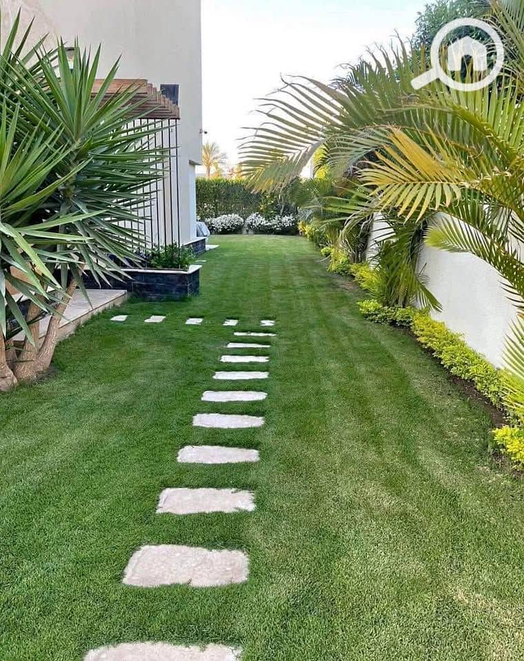 4 550999977_1139723458118736_7073361521254576854_n. jpg