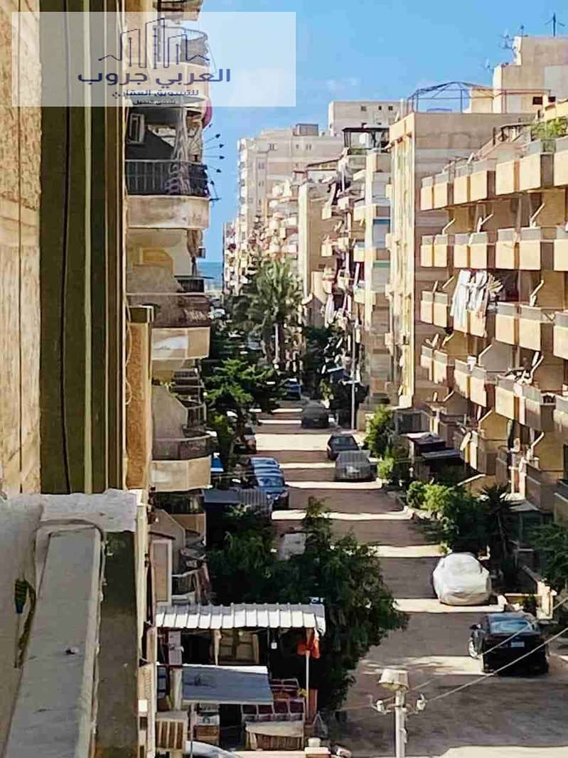 1000338242. jpg 1000338242. jpg