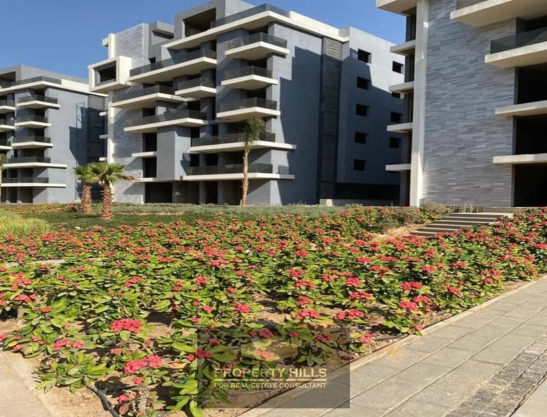 3 ccbba7a7-8415-4d61-ae21-df86cc95d63a. jpg