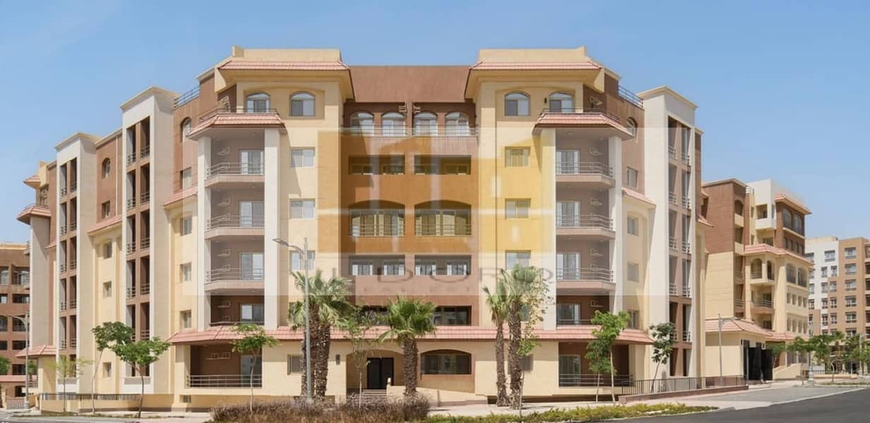 WhatsApp Image. jpeg WhatsApp Image. jpeg