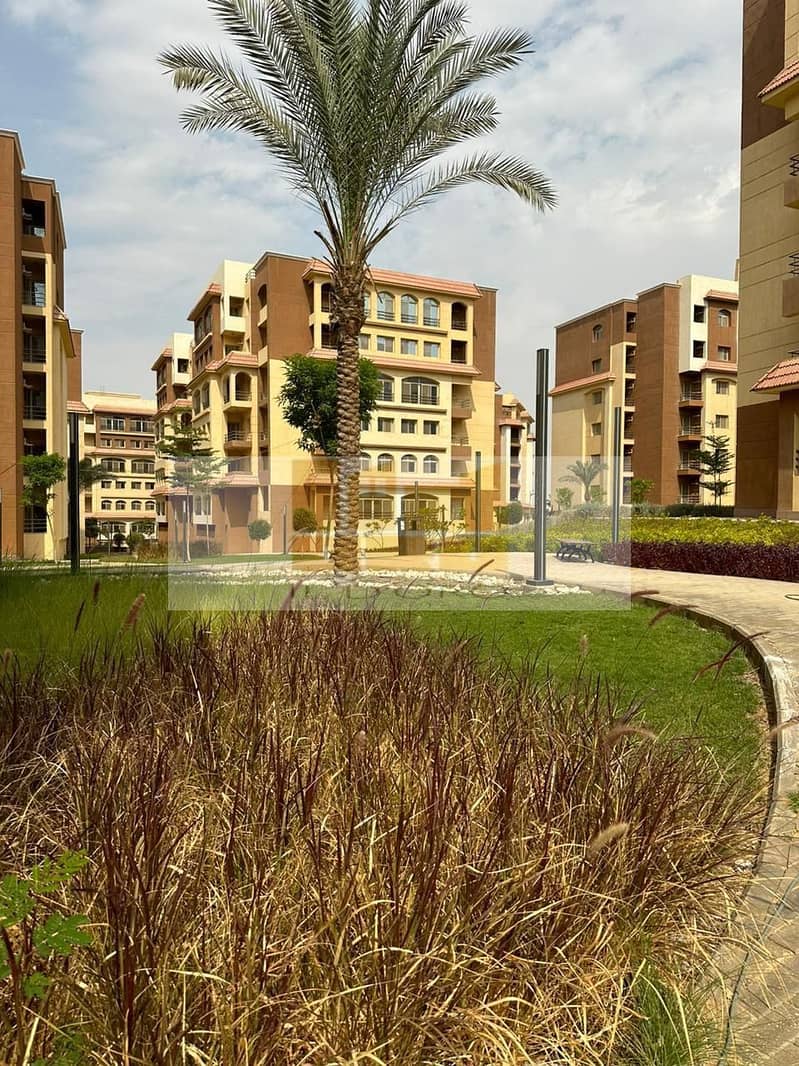 3 WhatsApp Image 2025. jpeg