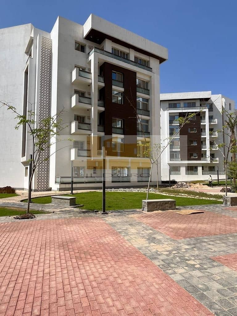 6 WhatsApp Imag. jpeg