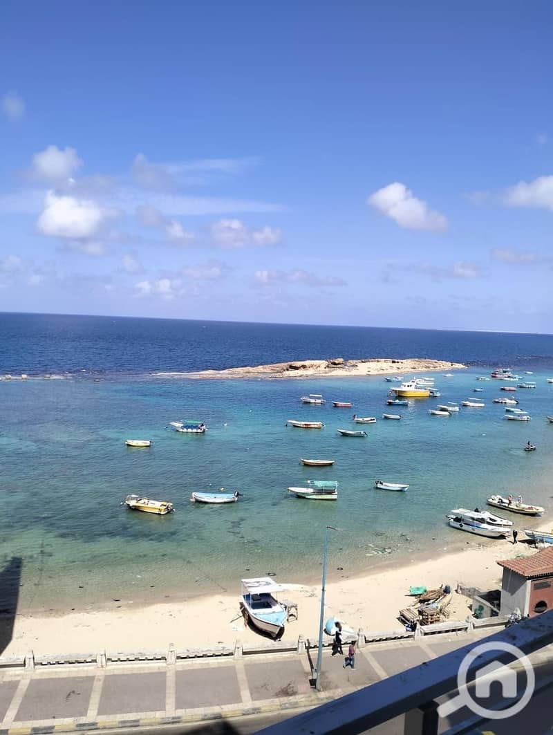 6 WhatsApp Image 2024-05-16 at 14.46. 06 (2). jpeg