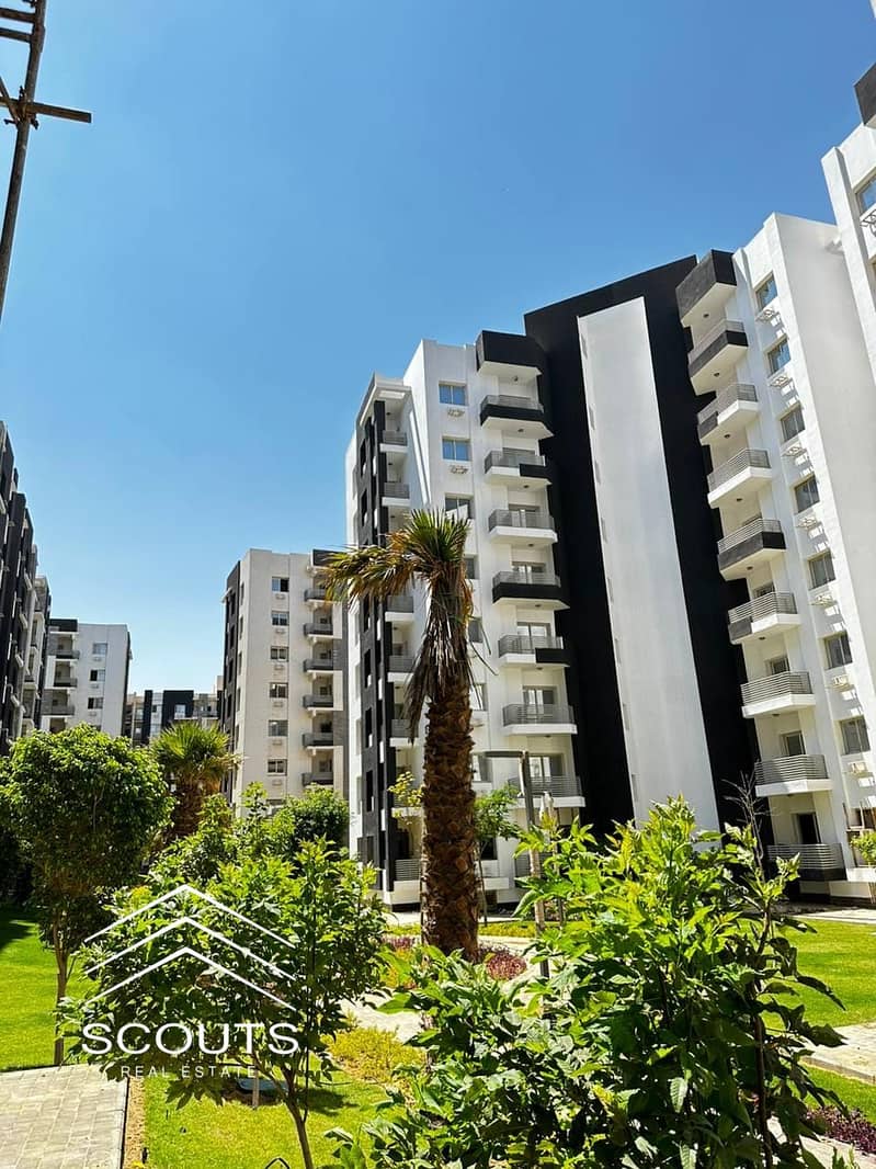 15 454840825_969146585016579_6143499204705041277_n. jpg