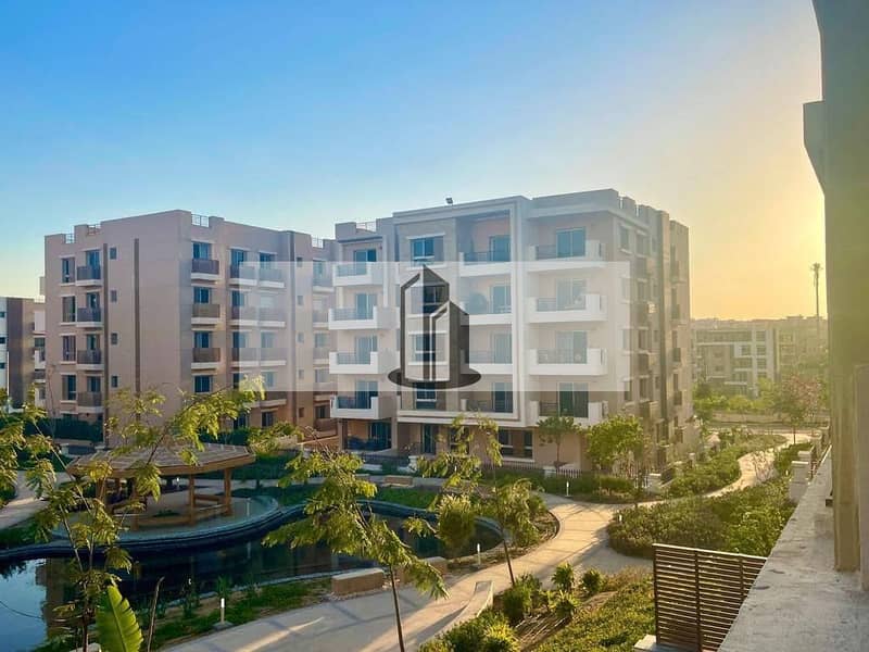 8 496188936_1726433021601611_670327708520532703_n. jpg