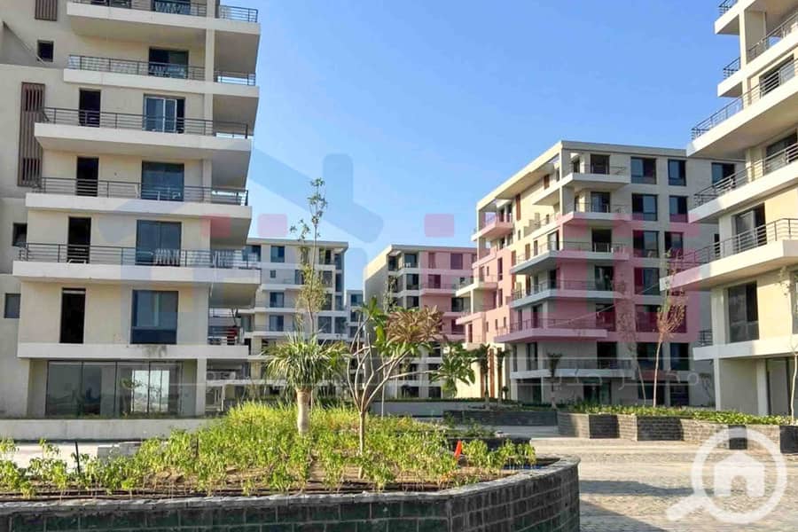 IMG-20250812-WA0029. jpg IMG-20250812-WA0029. jpg