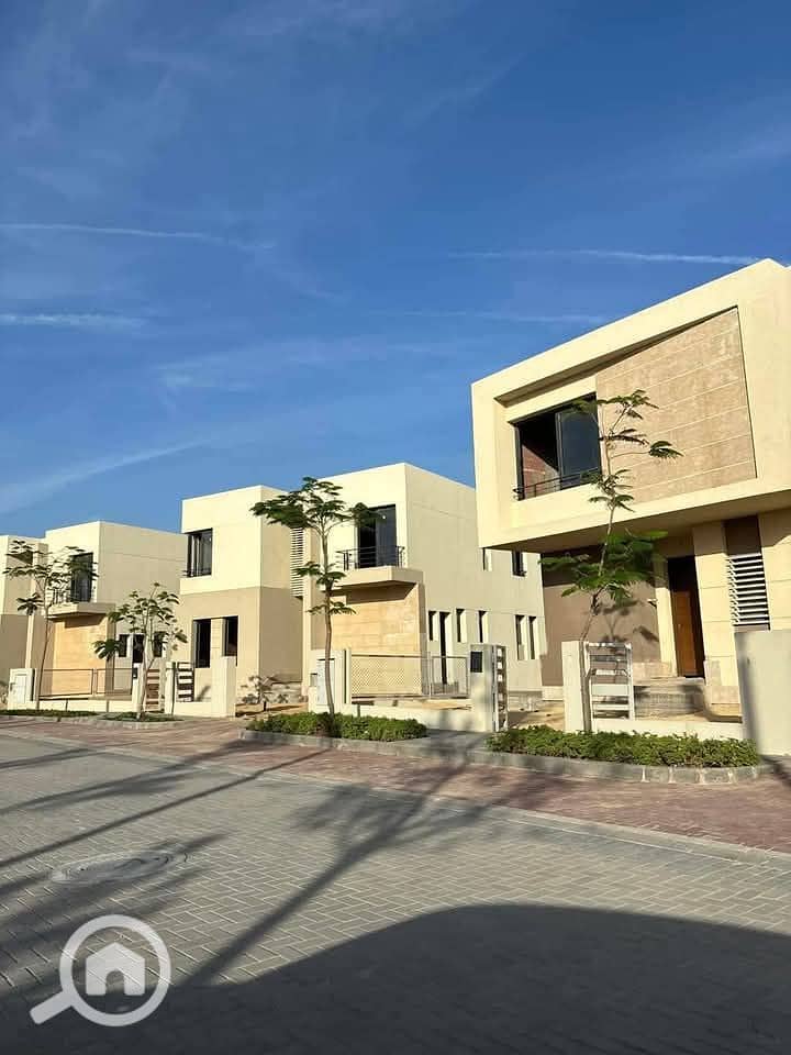 3 photo_2025-03-20_02-29-59. jpg