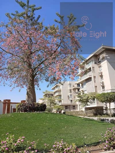 3 Bedroom Apartment for Sale in New Cairo, Cairo - WhatsApp Image 2025-09-03 at 2.58. 50 AM. jpeg