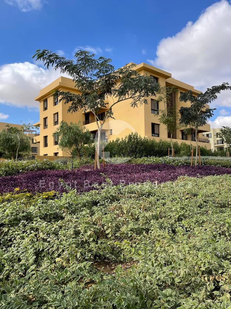 35 WhatsApp Image 2025-12-17 at 1.36. 01 PM. jpeg