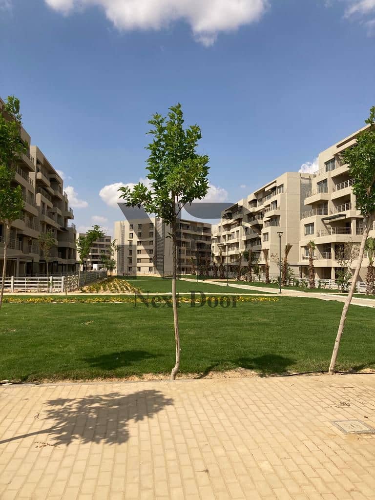 11 600299070_122156243306875599_6131640610676502890_n. jpg