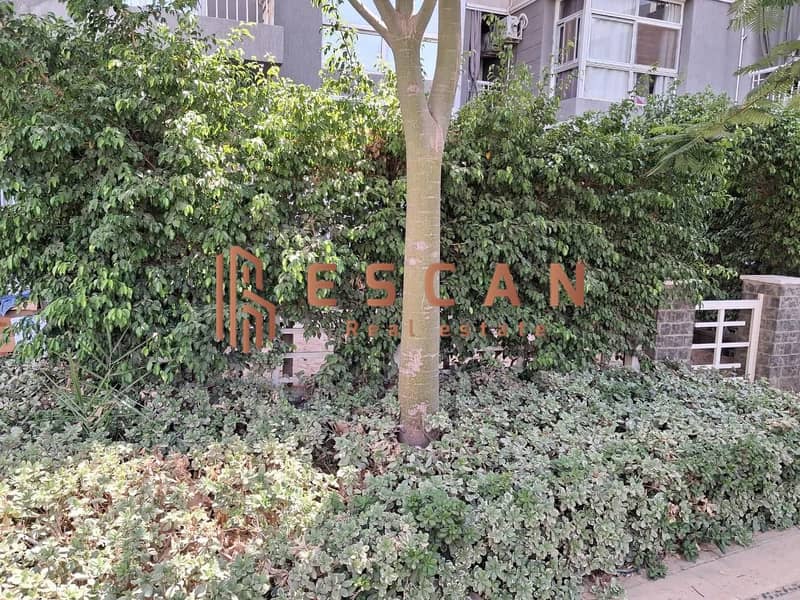 4 WhatsApp Image 2025-12-17 at 2.38. 04 PM. jpeg