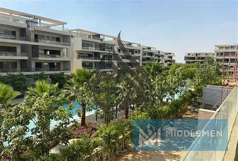 4 cf832206-52c2-4aa2-aba4-59fb10316c52. jpg