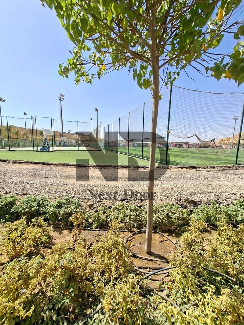 3 564617546_122159979902603813_6175937120560880941_n. jpg