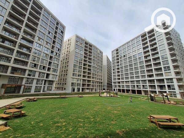 14 onenogaresize . jpeg