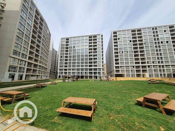 15 onenogaresize . jpeg