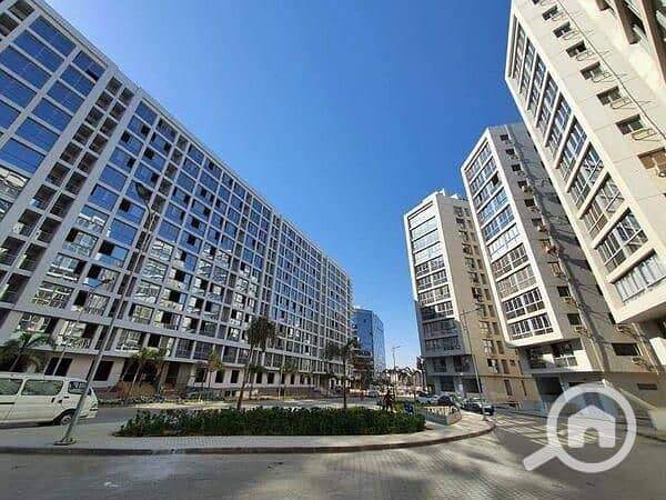 17 onenogaresize . jpeg