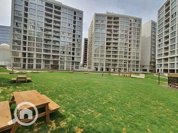 19 onenogaresize . jpeg