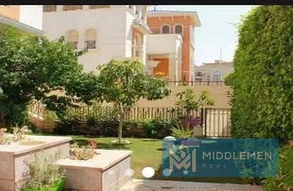 8 WhatsApp Image 2024-10-10 at 11.37. 15 AM (2). jpeg