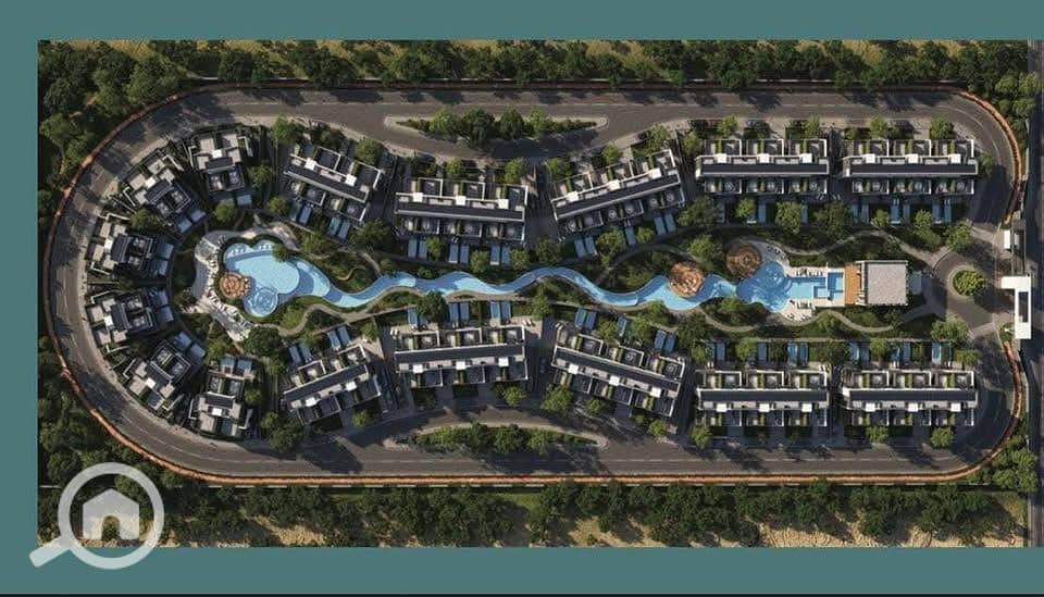 4 525564086_1485985045759853_806839366652020706_n. jpg