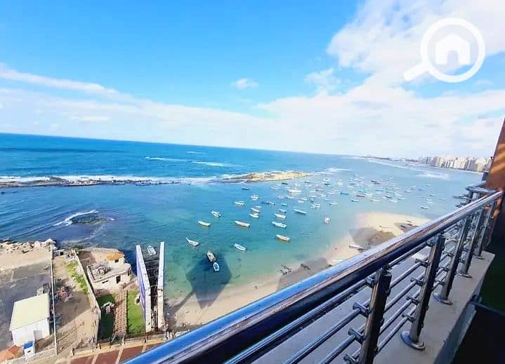 WhatsApp Image 2024-05-14 at 11.02. 51 (1). jpeg WhatsApp Image 2024-05-14 at 11.02. 51 (1). jpeg