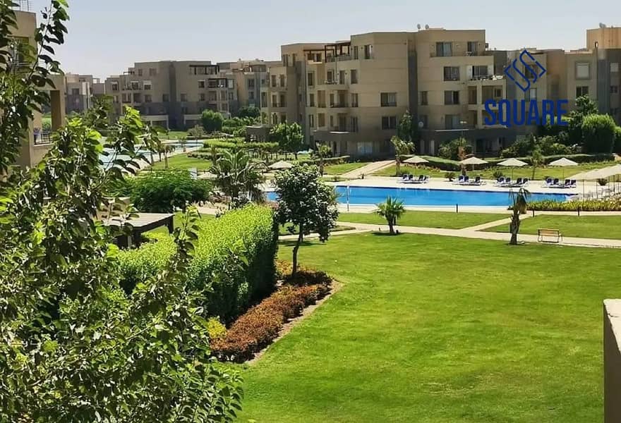 10 8420571-5caa7o. jpg