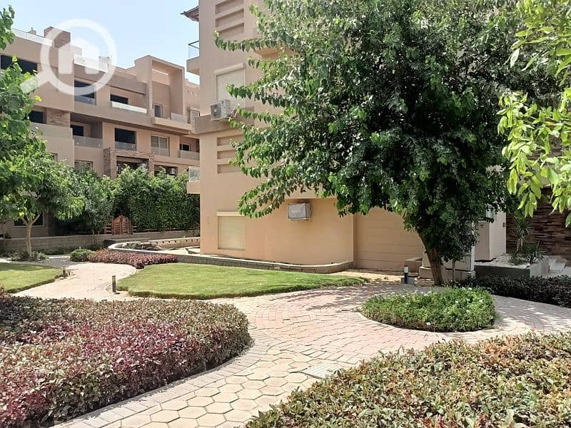 4 IMG20250729144421. jpg