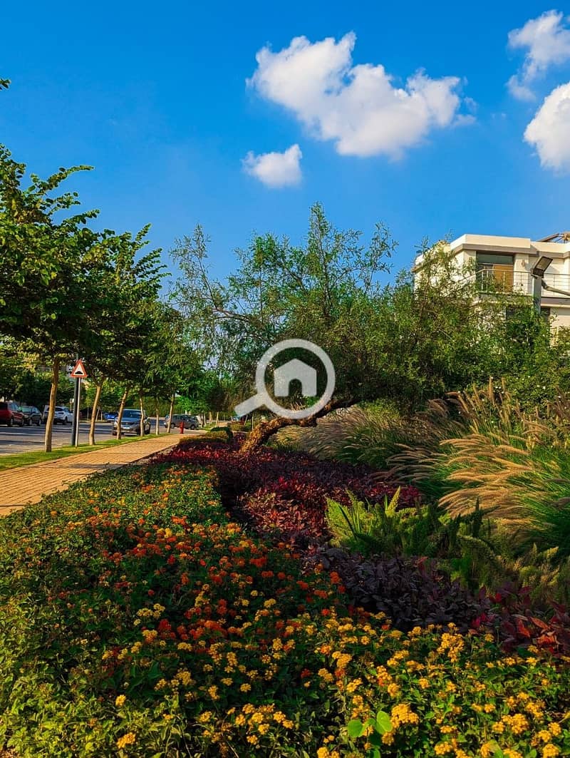 6 468943175_2517869958545356_7053225716793643166_n. jpg