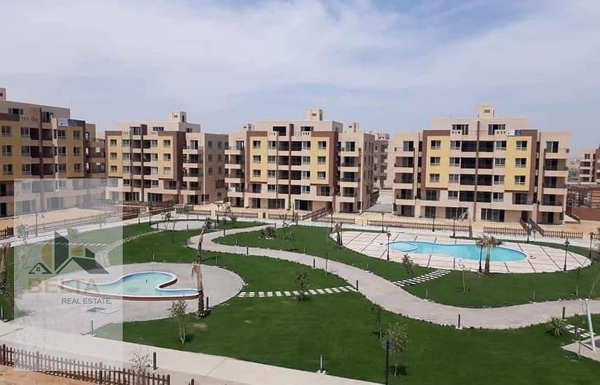 3 1969243-5f78co. jpg