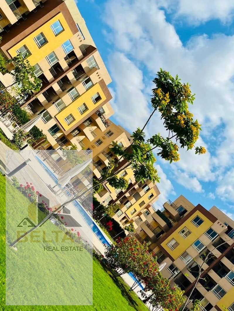 12 WhatsApp Image 2023-11-19 at 2.13. 20 PM (1). jpeg