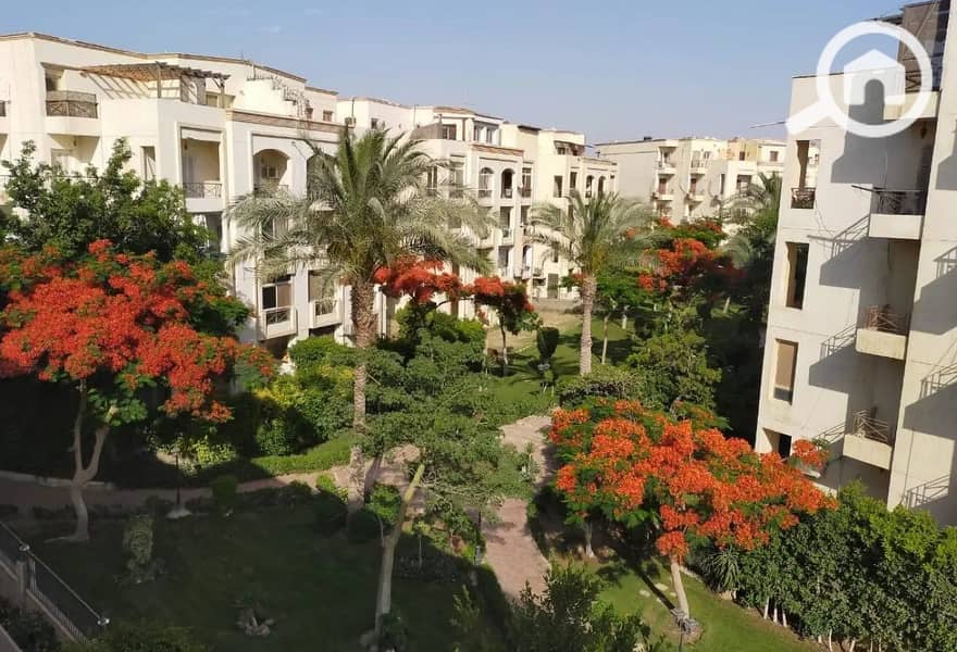 6 8431926-f7b3ao. jpg