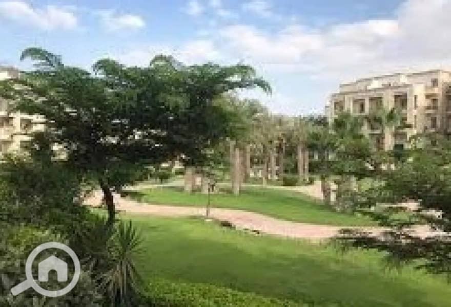 7 8431926-1fc01o. jpg