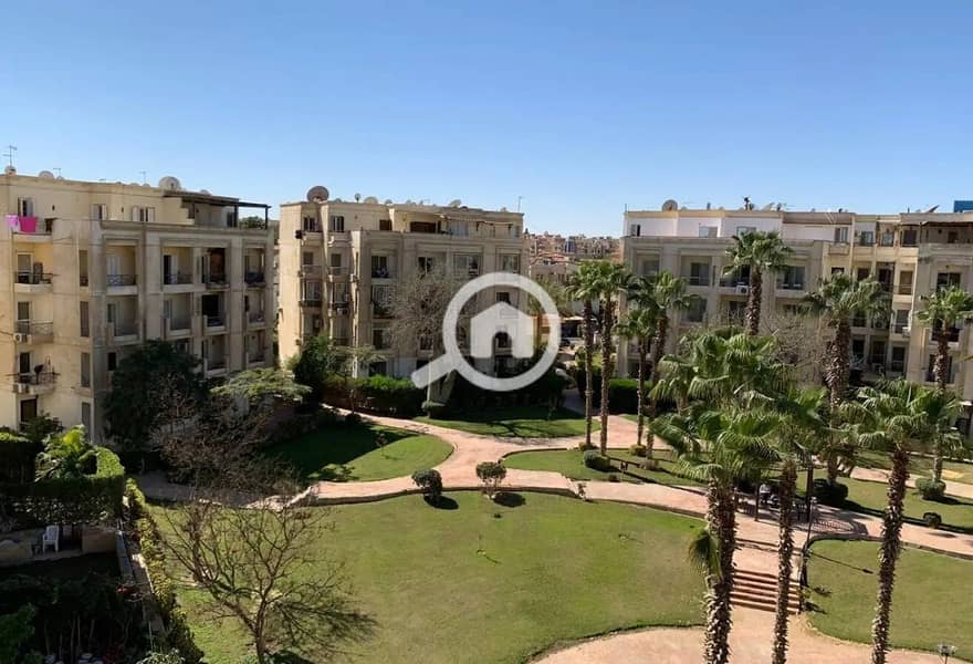 8 8431926-31497o. jpg