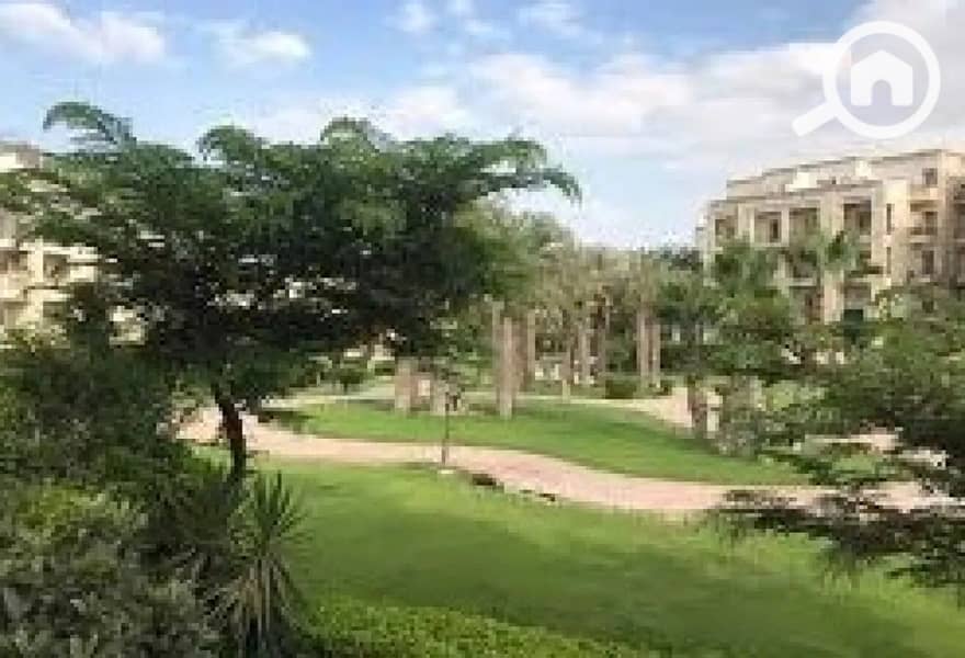 3 8431926-1fc01o (1). jpg