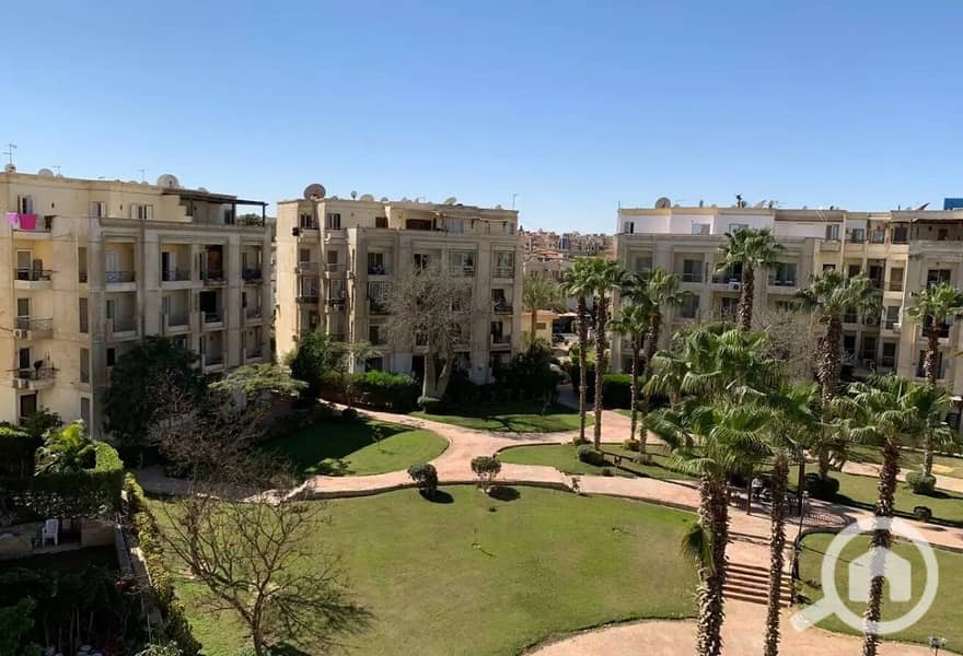 8 8431926-31497o. jpg